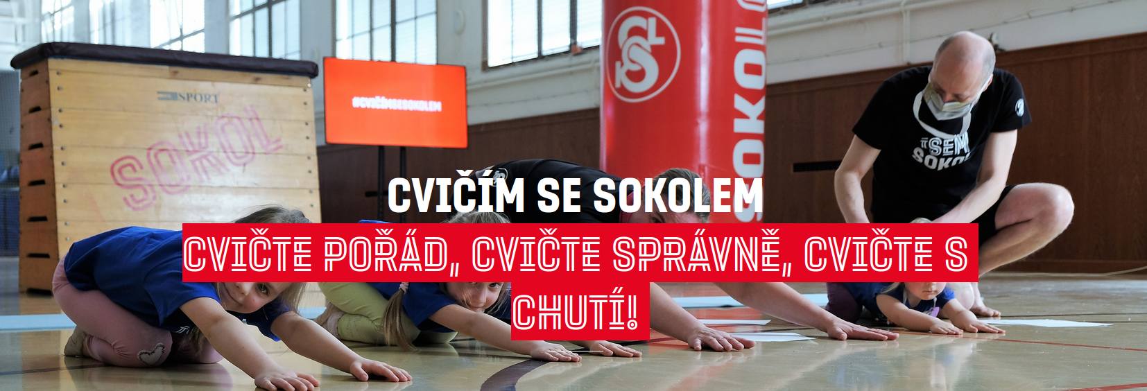 cviceme se sokolem