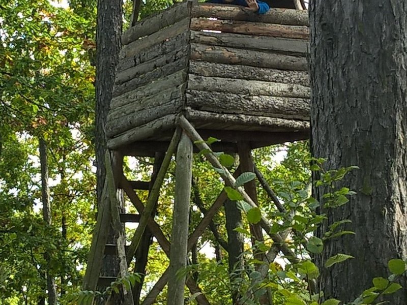 Fotografie z bojovek říjen - listopad