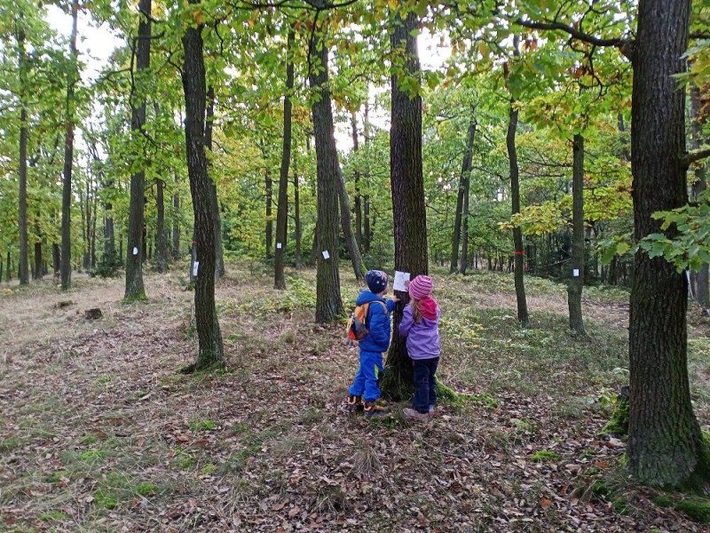 Fotografie z bojovek říjen - listopad
