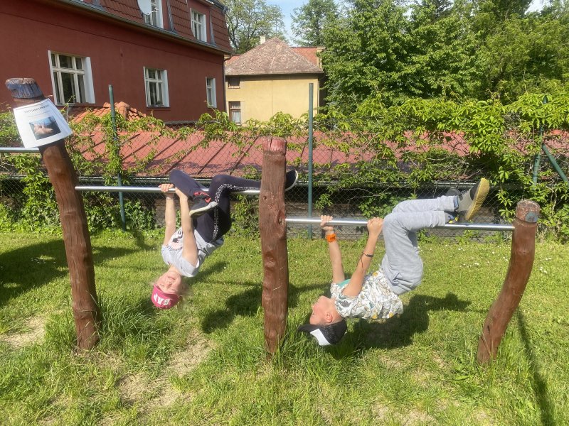 Akce - zvířata v pohybu