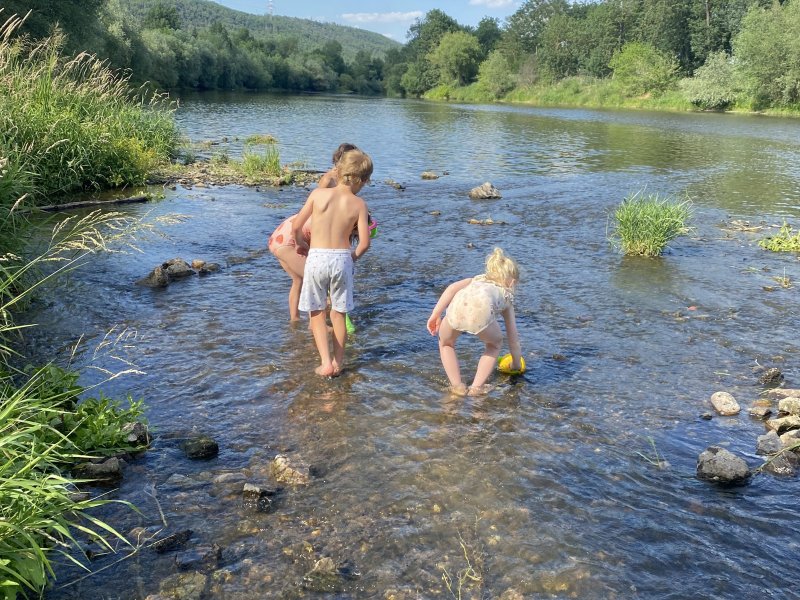 Poslední hodina sokola