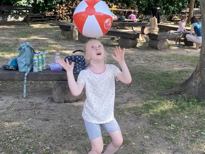 Poslední hodina sokola