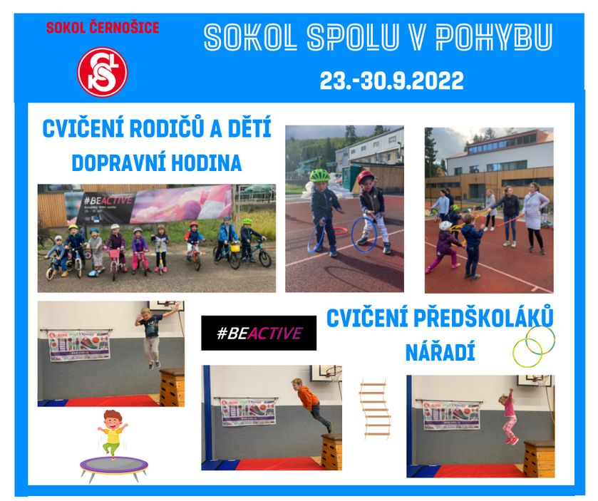 Sokol spolu v pohybu  - medajlon