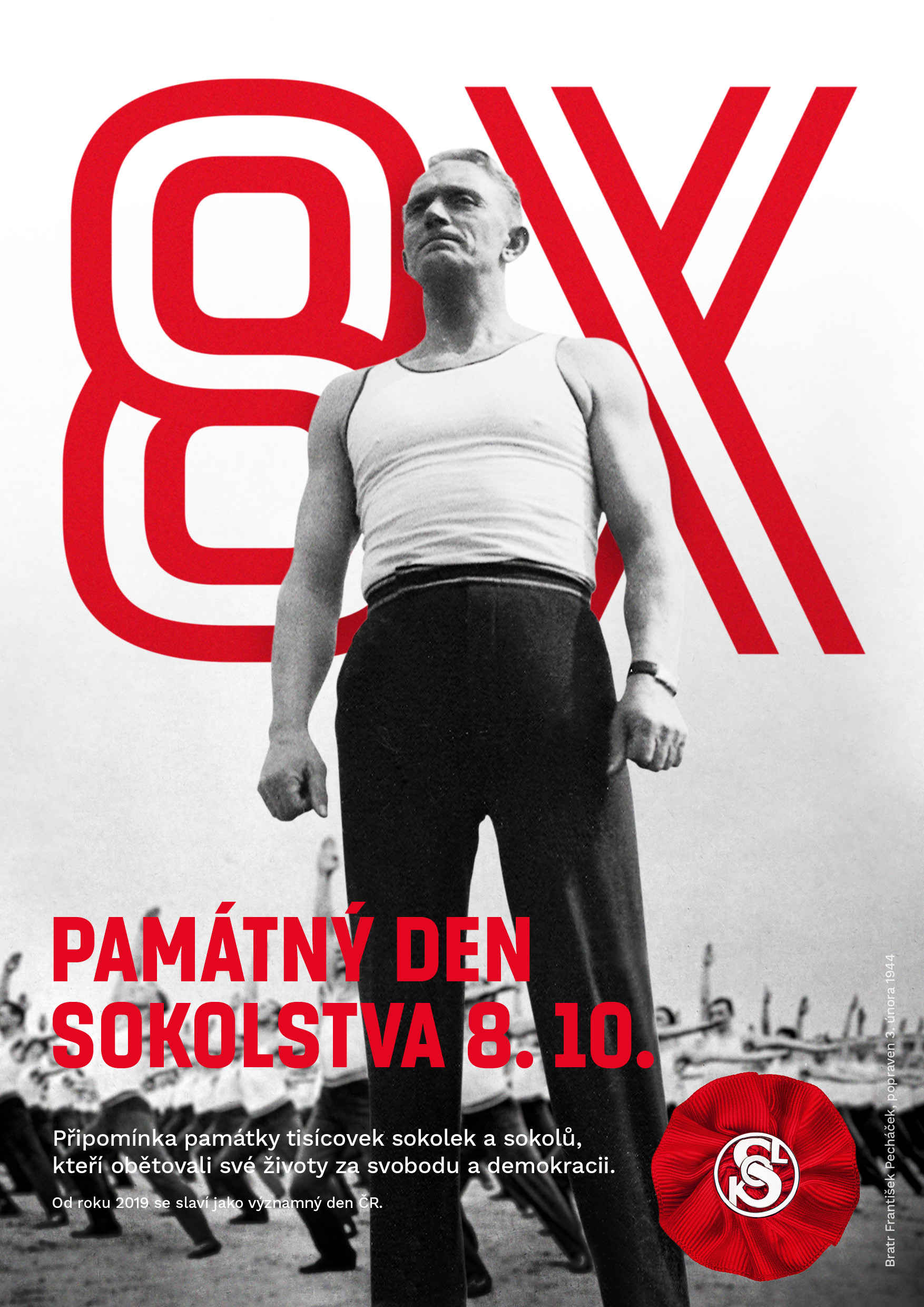 Den sokolstva