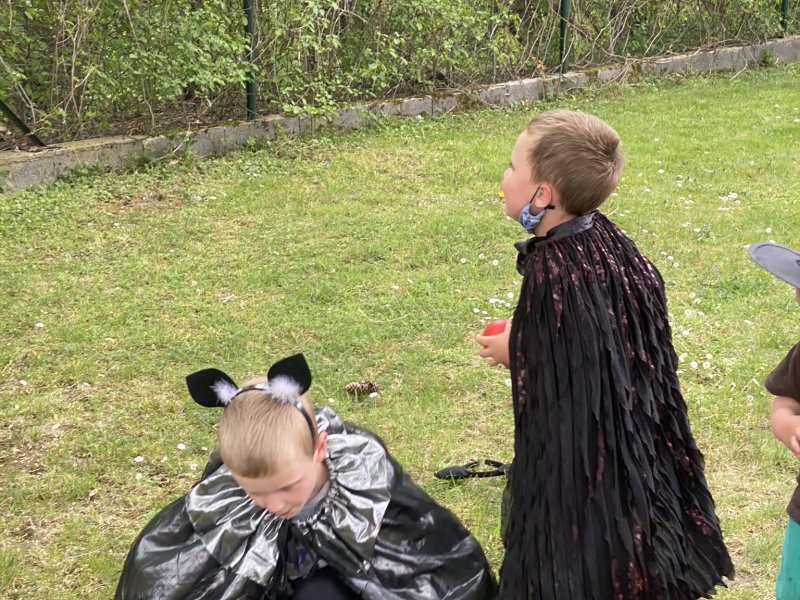Obnovená cvičení v sokole